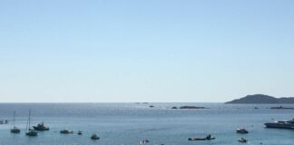 Art For Climate, capolavori all’asta in Sardegna a tutela dei mari