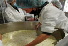 Casaro d’alpeggio, al via i corsi patrocinati da Ersaf Lombardia