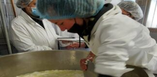 Casaro d’alpeggio, al via i corsi patrocinati da Ersaf Lombardia