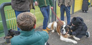 In Liguria nasce un progetto di zooantropologia didattica