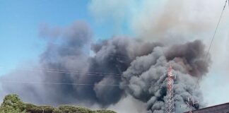 Roma, incendio di sterpaglie coinvolge abitazioni e capannoni