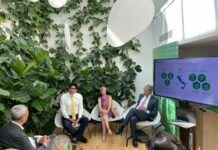 Rinnovabili, al via GreenGo con 300 milioni di investimenti in 3 anni