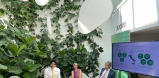 Rinnovabili, al via GreenGo con 300 milioni di investimenti in 3 anni