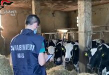 Indebita percezione di contributi agricoli, 4 misure cautelari