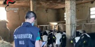 Indebita percezione di contributi agricoli, 4 misure cautelari