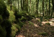 Aspromonte, nuovi ritrovamenti lungo antiche mura romane