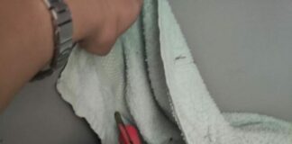 Roma, spara ai gatti con una balestra. Enpa chiede pericolosità sociale