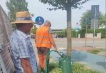 Assago, rivoluzione green con l’irrigazione sostenibile