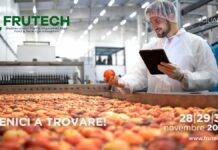 A SiciliaFiera Frutech, la fiera dedicata all’agroecologia e ortofrutta