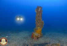 Un’ancora di età romana trovata nei fondali di Palinuro