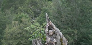 Bmw Italia si conferma main partner di ARTEPARCO 2024