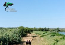 Carabinieri forestali a cavallo arrivano nelle aree naturalistiche
