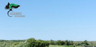 Carabinieri forestali a cavallo arrivano nelle aree naturalistiche