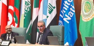 المغرب يترأس بالقاهرة الجلسة العامة حول ولوج المهاجرين للخدمات الأساسية خلال مؤتمر الاستعراض الإقليمي للميثاق العالمي حول الهجرة