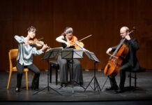 Teatro Toniolo, 39^ Stagione di musica da camera e sinfonica
