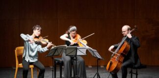 Teatro Toniolo, 39^ Stagione di musica da camera e sinfonica