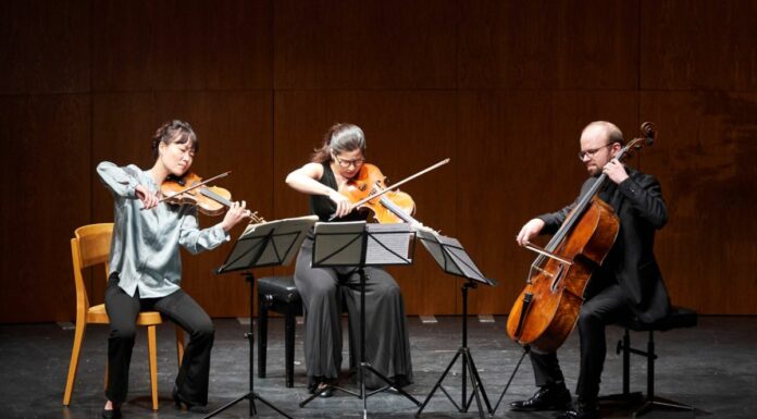 Teatro Toniolo, 39^ Stagione di musica da camera e sinfonica