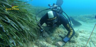 Nelle acque Porto Livorno fatti brillare tre ordigni II Guerra Mondiale