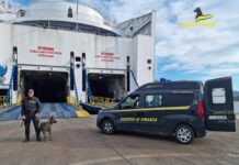 Sbarca dal traghetto a Olbia con 3 kg di cocaina, Arrestato 45enne