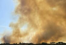 Incendi, brucia vegetazione in provincia di Roma, evacuate abitazioni