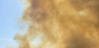 Incendi, brucia vegetazione in provincia di Roma, evacuate abitazioni