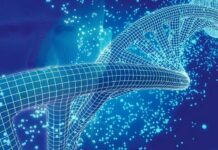 Unical, ok al nuovo corso di laurea in Ingegneria Biomedica