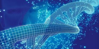 Unical, ok al nuovo corso di laurea in Ingegneria Biomedica