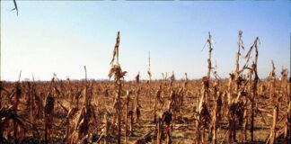 Tunisia, alarming situation due to water shortage