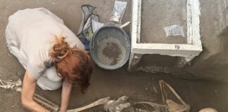 A Pompei trovati i resti di altre due vittime dell’eruzione