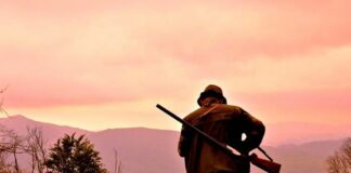 Nuova stagione venatoria in Calabria con il tesserino elettronico