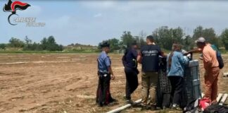 Blitz dei Carabinieri contro il Caporalato, il 53% delle aziende irregolari