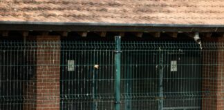 Bertolaso “Fondi per nuove case cani e gatti a Varese e Milano”