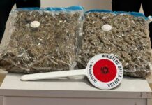 Fermato con 2 kg di marijuana in auto, arrestato nel reggino