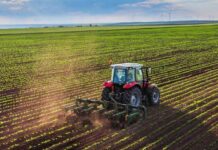 Csa “Intervenga Protezione Civile per aiuti aziende agricole sarde”