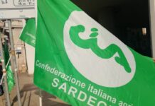 Blue Tongue, Cia Sardegna “Agire subito per bloccare diffusione virus”