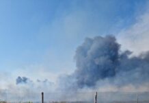Roma, incendio di vegetazione alla Muratella. Il fumo anche in centro