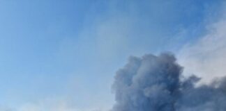 Roma, incendio di vegetazione alla Muratella. Il fumo anche in centro