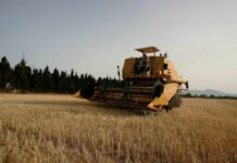 Liguria, 28mila euro per le polizze volontarie a sostegno agricoltori