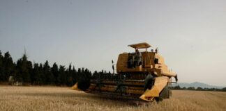 Liguria, 28mila euro per le polizze volontarie a sostegno agricoltori