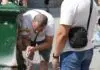 Emergenza caldo, previsti picchi sopra i 45° nella valle di Ottana, Logudoro e Campidano