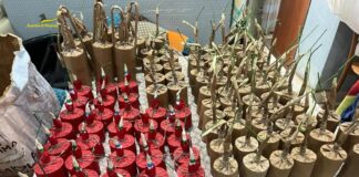 ضبط 500 كجم من المتفجرات والمخدرات والأموال في فوجيا