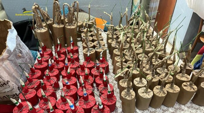 Foggia, sequestrati 500 kg di esplosivi, droga e denaro