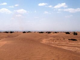 Sahara, la presidente eletta del Perù Fujimori sostiene la sovranità marocchina