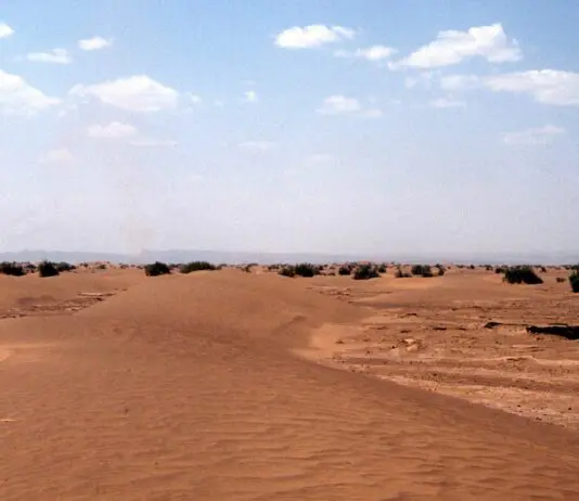 بلغاريا: حكم ذاتي حقيقي تحت السيادة المغربية قد يكون حلا قابلا للتطبيق لقضية الصحراء