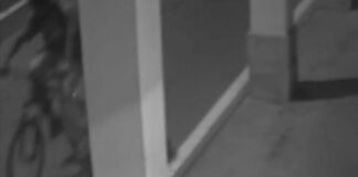 توقيف شخص يبلغ 31 سنة في جريمة مقتل فيرزيني