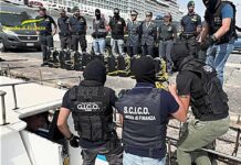 Sequestrati a Catania 540 kg di coca per oltre 100 milioni di euro, 5 arrestati