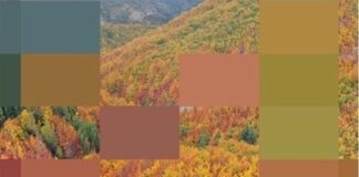 Nasce la collana editoriale “I boschi dell’Emilia-Romagna”