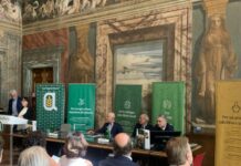 Arriva il manifesto sulla produzione olivicola sostenibile
