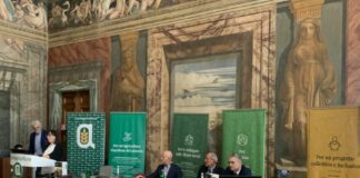 Arriva il manifesto sulla produzione olivicola sostenibile