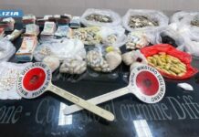 Scoperto a Palermo laboratorio per la produzione di droga, due arrestati